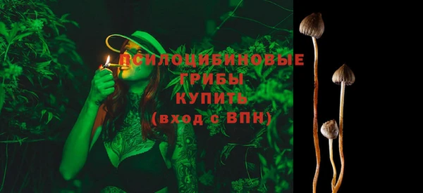 2c-b Дмитриев